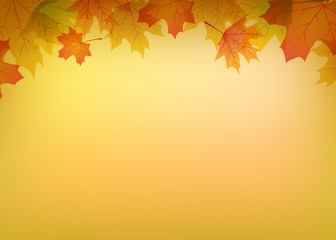 Naklejka na ściany i meble autumn colorful leaves