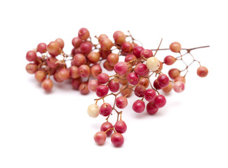 pink peppercorn clusters isolated on white