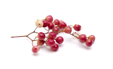 pink peppercorn clusters isolated on white