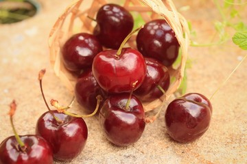 Fresh cherries