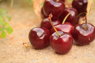 Fresh cherries