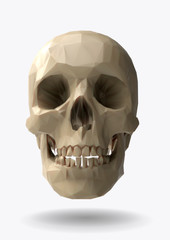 Low poly vector skull front view in 3d realistic look