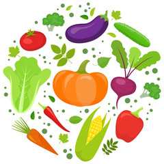 Set of colorful vegetables in circle shape background. Template for packaging, cards, posters and eco food menu. Vector stock illustration.