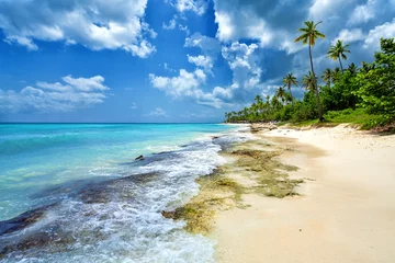 Fototapeten Beautiful beach with palm trees. Tropical paradise beach with white sand. Summer tropical landscape, panoramic view. Summer vacation travel holiday background concept. Caribbean beach. Palm beach © Vladimir Sazonov