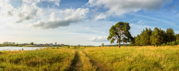 летний пейзаж с сосновым бором на берегу реки и грунтовой дорогой, Россия, пейзаж   © 7ynp100