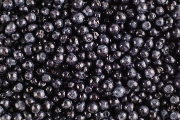 Fresh juicy blueberries closeup