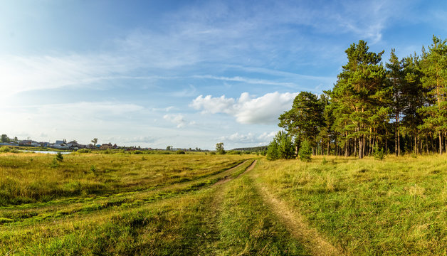 летний пейзаж с сосновым бором на берегу реки и грунтовой дорогой, Россия, пейзаж
