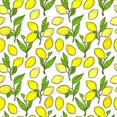 Seamless pattern with lemons. Vector background.