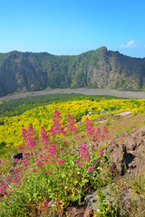 Obraz premium Mount Somma is the remnant of a large volcano, out of which the peak cone of Mount Vesuvius has grown. Province of Naples, in the Campania region, Italy.