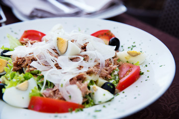 Plate of Fresh Nicoise Salad or Tuna Salad