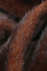 dark fur