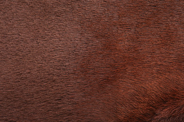leather texture