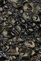 crocodile leather texture