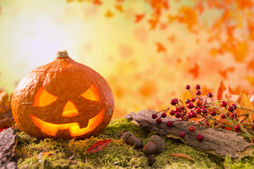 Jack O'Lantern in an autumn nature still life