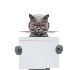 Cat studend at school holding piece of paper