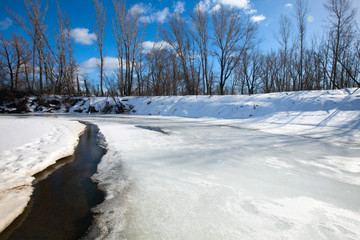 Naklejka premium Spring has come