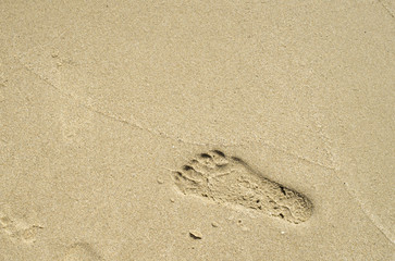 Footprints in wet sand close to sea