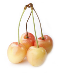 yellow cherry isolated