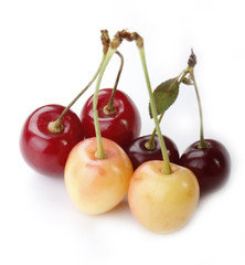 red and yellow cherry isolated