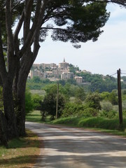 Tree-lined country road leading to Crillon-le-Brave village, Provence, France in the distance