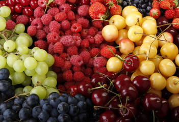 berries background