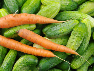 Harvest of fresh green cucumbers and  carrots