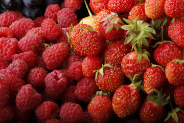 berries background