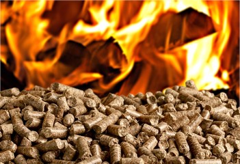 Biomass.