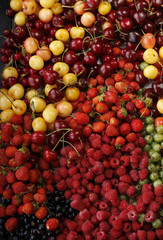berries background