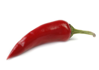 red chili pepper isolated