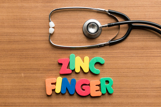 zinc finger colorful word with stethoscope