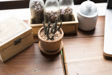 Obraz na płótnie Canvas cactus pot, coffee bean and computer notebook on wooden desk