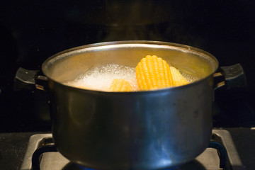 Boiled corn in a pot