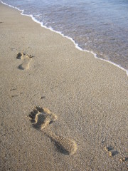 ORME SULLA SPIAGGIA