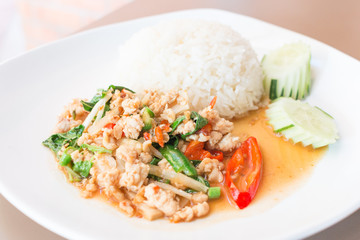 Rice topped with stir-fried pork and basil