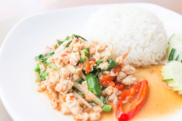 Rice topped with stir-fried pork and basil