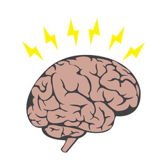 Vector illustration of human brain on white background