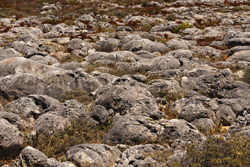 rock formations on the ocean