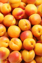 Ripe apricots fruit background