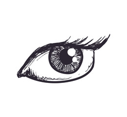 View and look concept represented by female eye icon. Isolated and flat illustration
