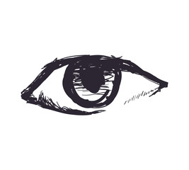View and look concept represented by sktech eye icon. Isolated and flat illustration