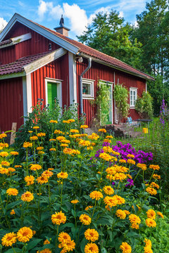 Red idyllic cottage and flowers in the garden