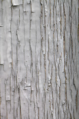 The old wooden houses painted wall. Closeup view