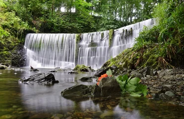 Fototapeten The Stock Ghyll Force waterfall in Ambleside, Cumbria, England © eqroy