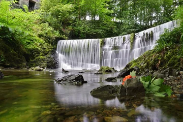 Foto op Plexiglas The Stock Ghyll Force waterfall in Ambleside, Cumbria, England © eqroy