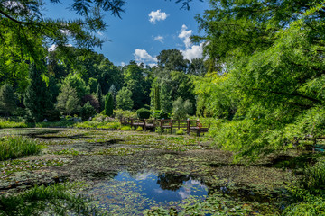 Arboretum w Bolestraszycach