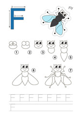Drawing tutorial. Game for letter F. The Funny Fly.
