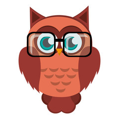 flat design owl cartoon wearing glasses icon vector illustration