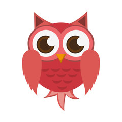 flat design owl cartoon icon vector illustration