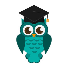 flat design owl cartoon with graduation cap icon vector illustration